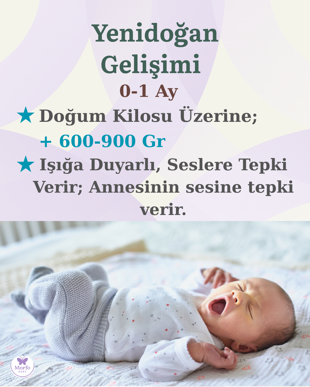 0-2 yaş bebeklerin gelişim tablosu